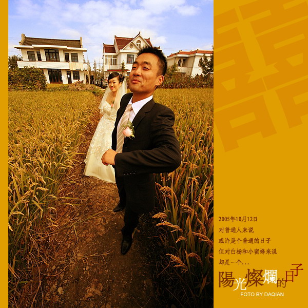 【阳光灿烂的日子】--献给白杨&小蜜蜂