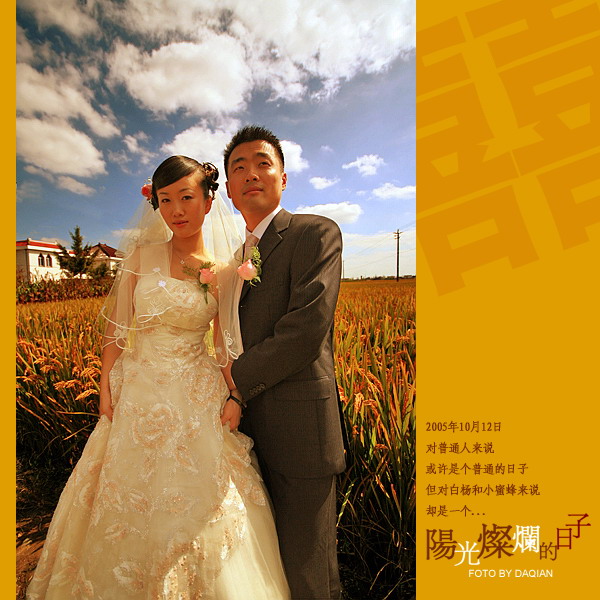 【阳光灿烂的日子】--献给白杨&小蜜蜂