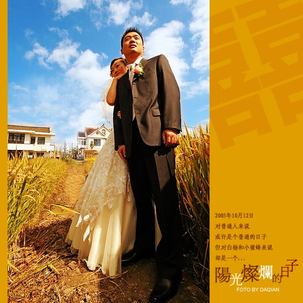 【阳光灿烂的日子】--献给白杨&小蜜蜂