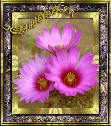 日式酒吧招聘（可兼职）