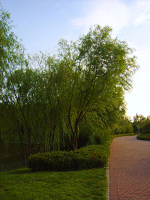 [原创]浦东。嘉年华。