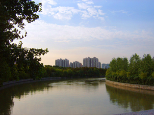 [原创]浦东。嘉年华。