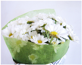 [原创]浦东。嘉年华。