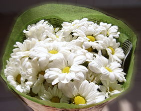 [原创]浦东。嘉年华。