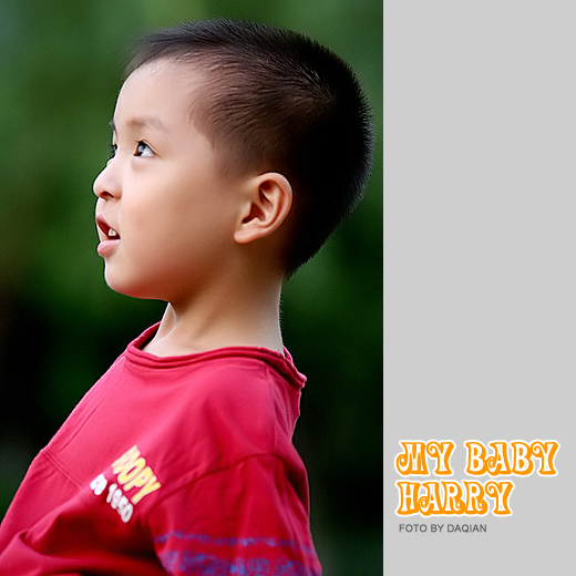 MY BABY HARRY