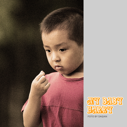 MY BABY HARRY
