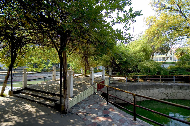 通州实小——好风景(2)