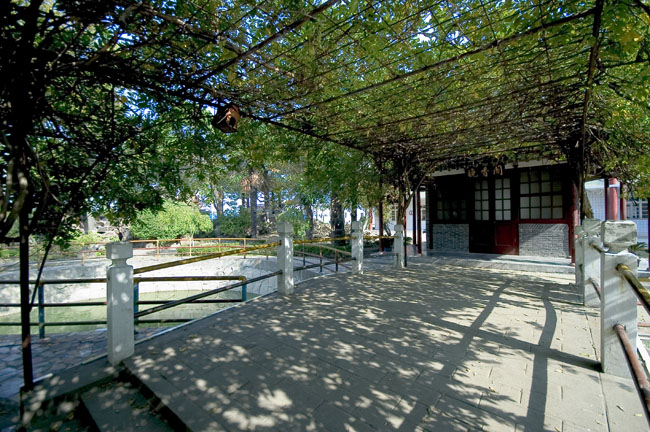 通州实小——好风景(2)