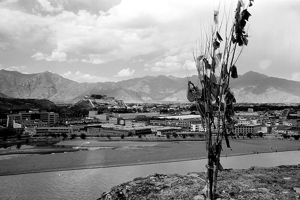 [原创]《黑白印画》(更新）