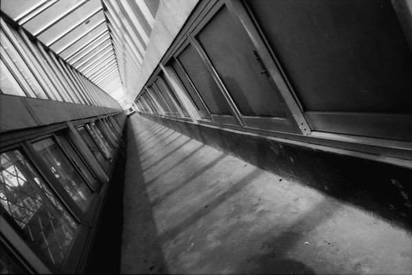 [原创]《黑白印画》