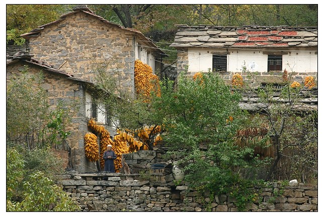 ~~~~【太行 ， 太行。。。】~~~~