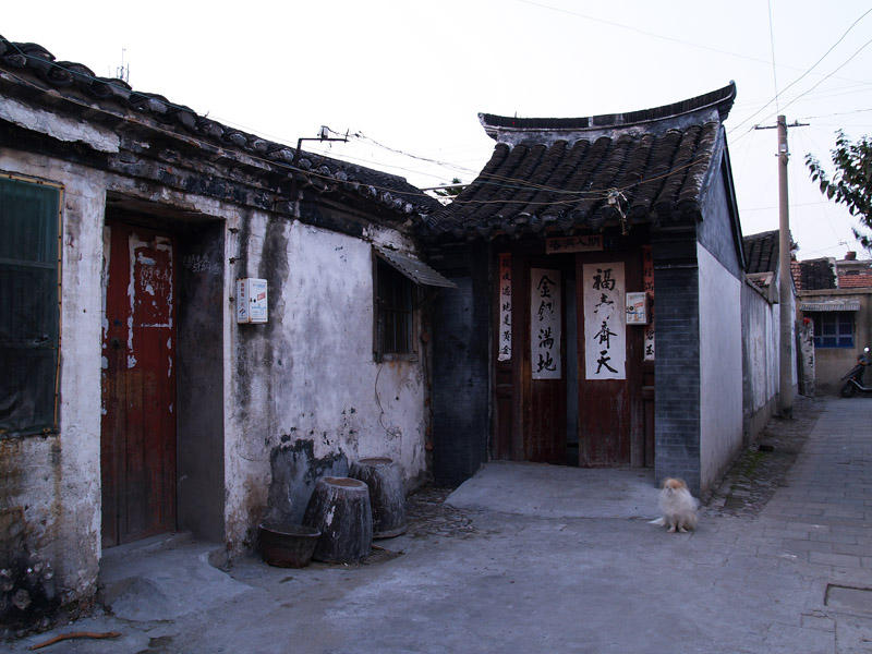 11月16日  黑白与彩色：大家多提意见，谢谢