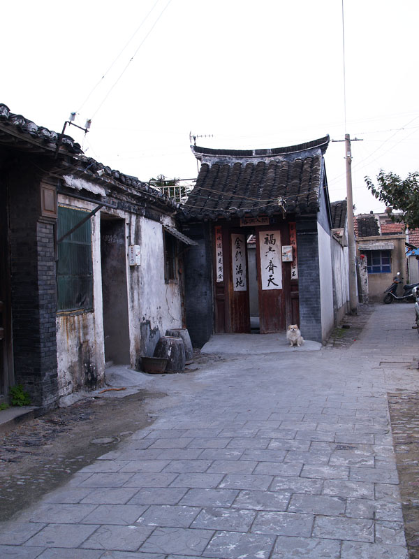 11月16日  黑白与彩色：大家多提意见，谢谢