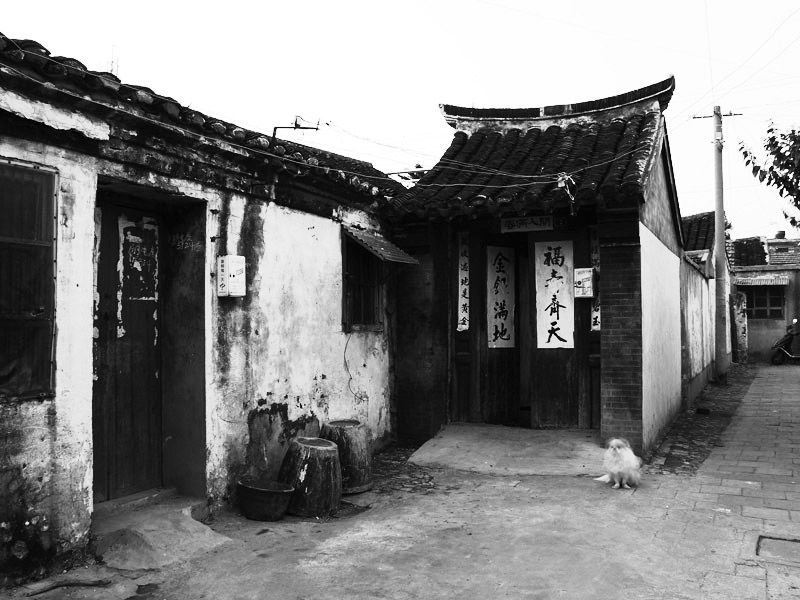 11月16日  黑白与彩色：大家多提意见，谢谢