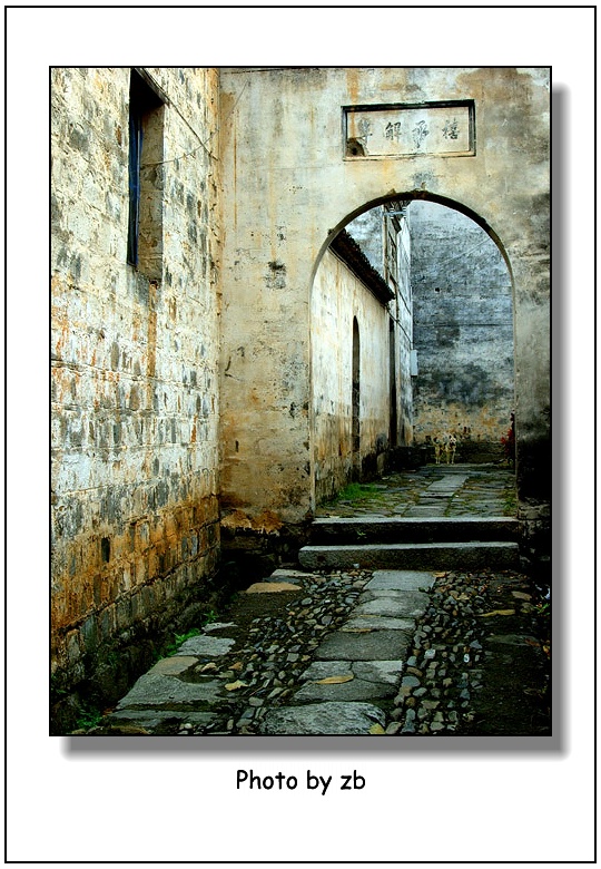 阿冰作品——《寂静卢村》