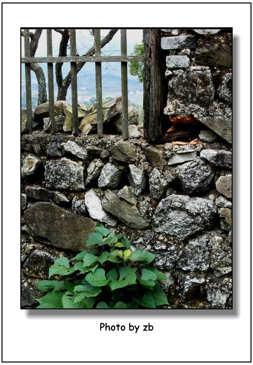 阿冰作品——《寂静卢村》