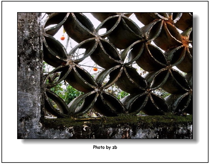 阿冰作品——《寂静卢村》