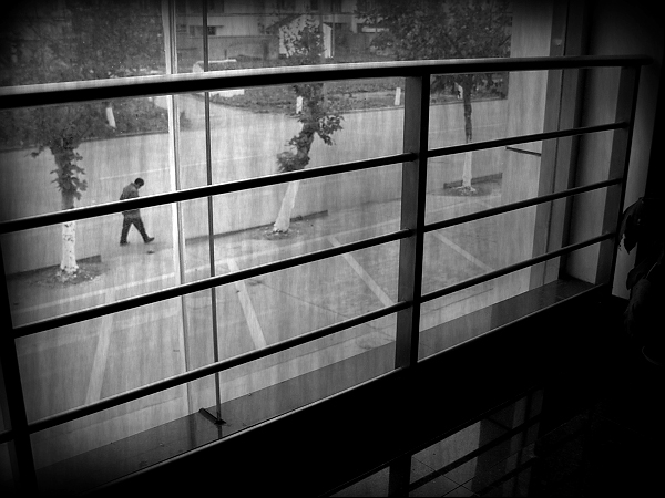 ~~~~【一张】~~~~