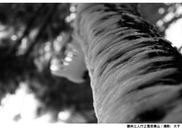 【徽州三人行】预告片