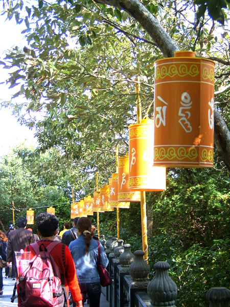 ~~老婆的普陀游~~