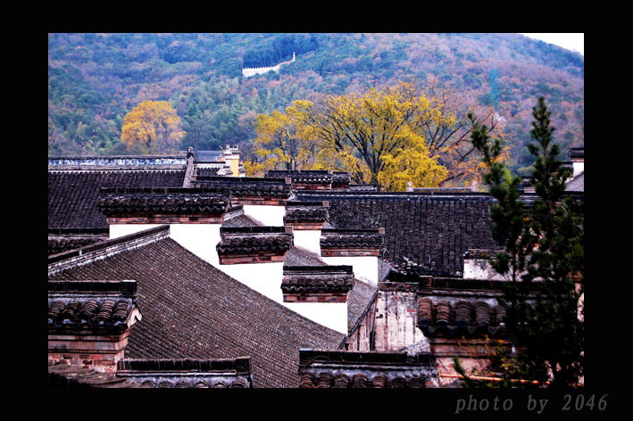 在寺庙里看到的