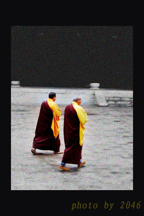 在寺庙里看到的