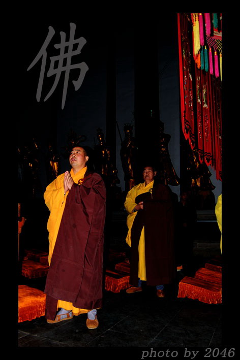 在寺庙里看到的