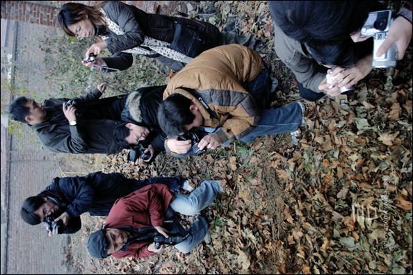 12月10日如皋外拍活动花絮（墨痴）