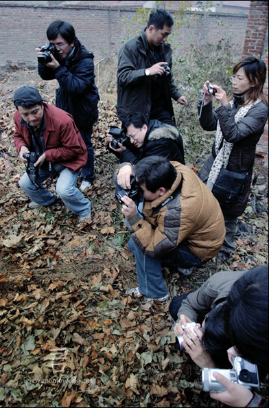 12月10日如皋外拍活动花絮（墨痴）