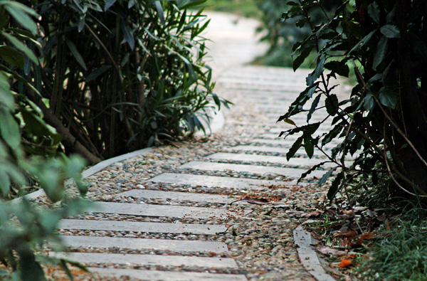 [讨论]景色在我的身边～小径