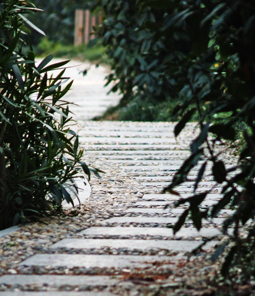 [讨论]景色在我的身边～小径