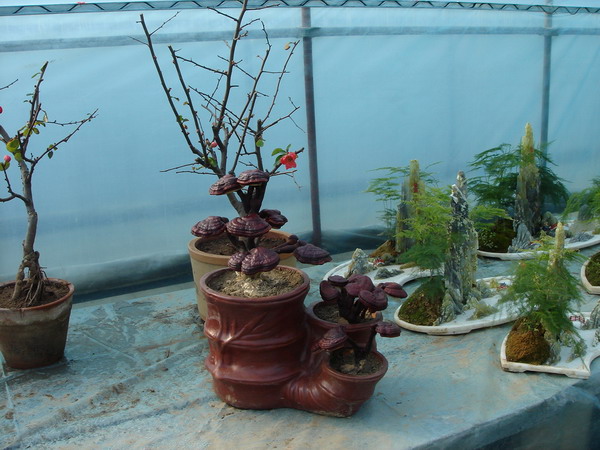 换种药、换种生活方式