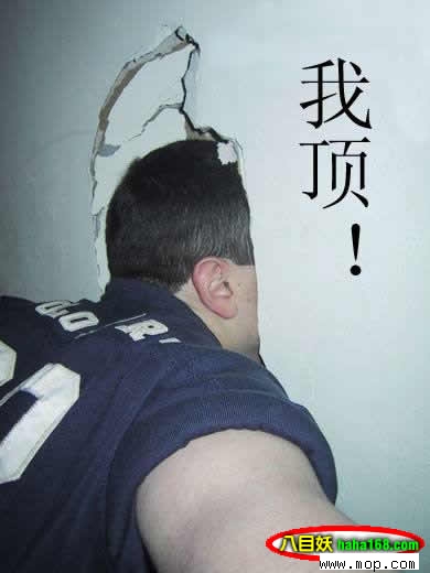 六县市五个进入全国百强！