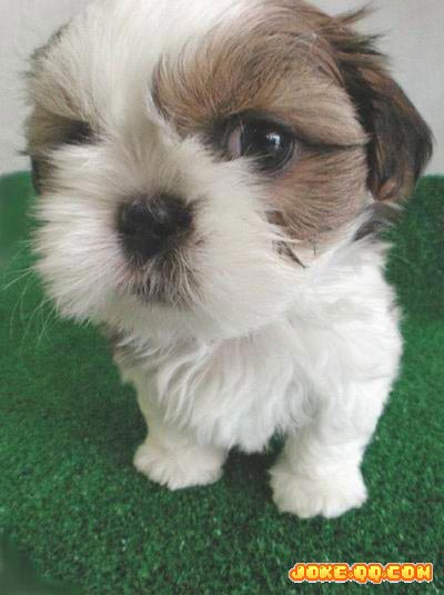 【欢迎加入濠滨生日大联盟。。】