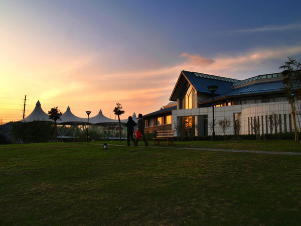 天气有点冷了，上几张刚拍的，大家看看~