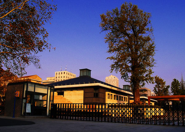 天气有点冷了，上几张刚拍的，大家看看~