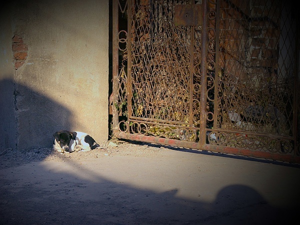 相同的和不同的