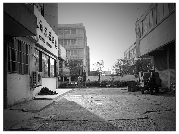 相同的和不同的