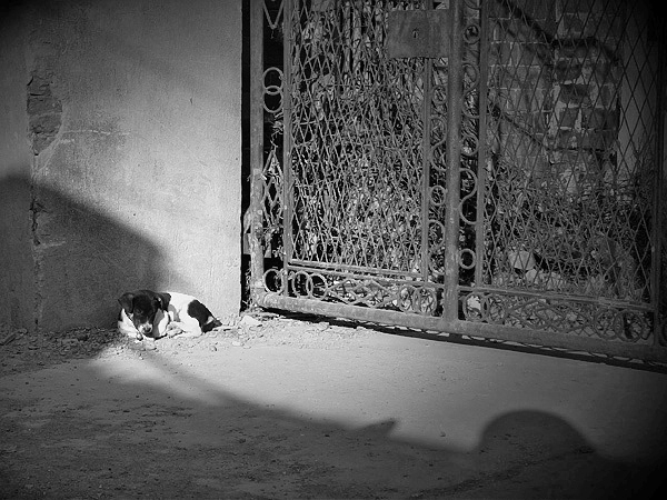 相同的和不同的