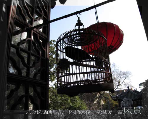 [原创]白墙黛瓦——旋马的苏州行