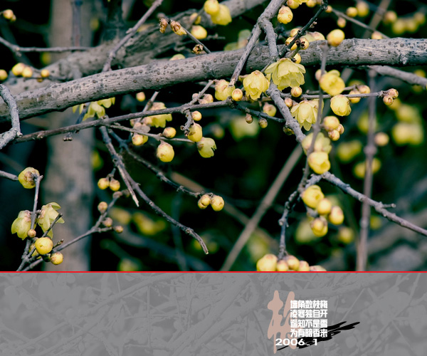 [原创]通州实小寒冬小景