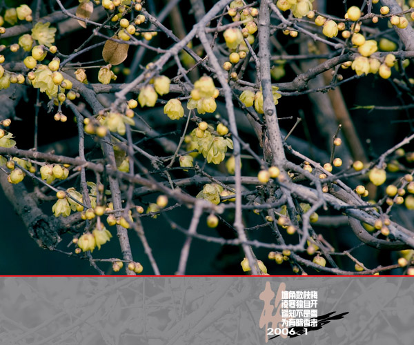 [原创]通州实小寒冬小景