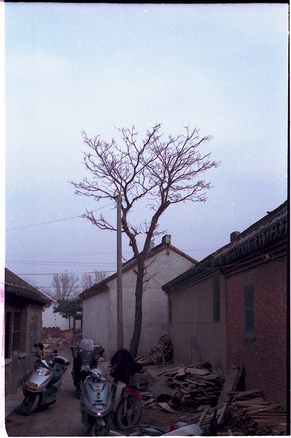 ~~~ 一些关于这个冬天的记忆 ~~~~