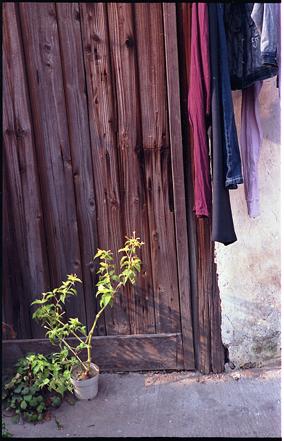 ~~~ 一些关于这个冬天的记忆 ~~~~