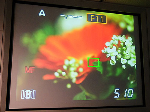 奥林巴斯E-330出炉