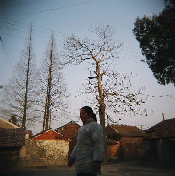 ~~~假如~真的~就这么简单~~~