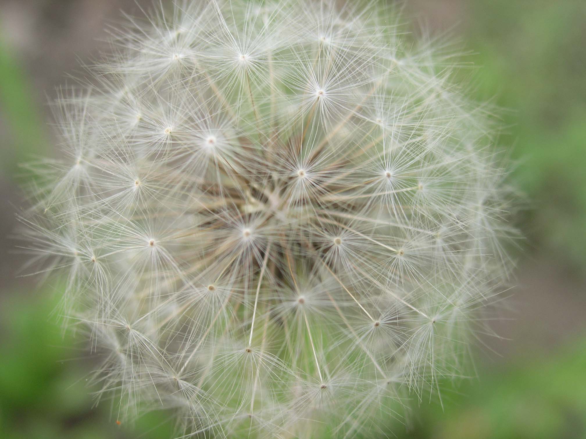 [原创]路边采野花（第三帖，现在不是处女了）