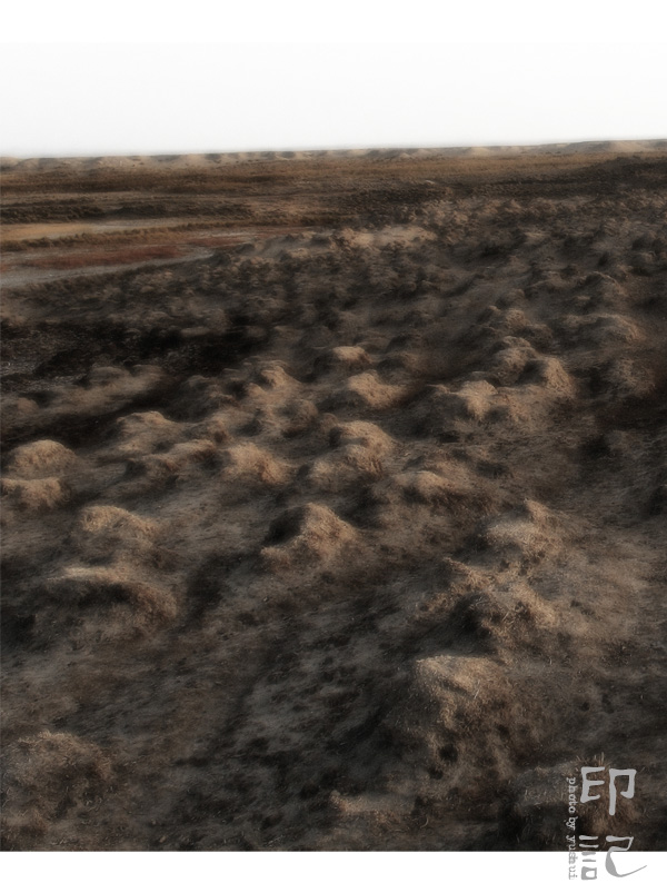 [原创]西部印记