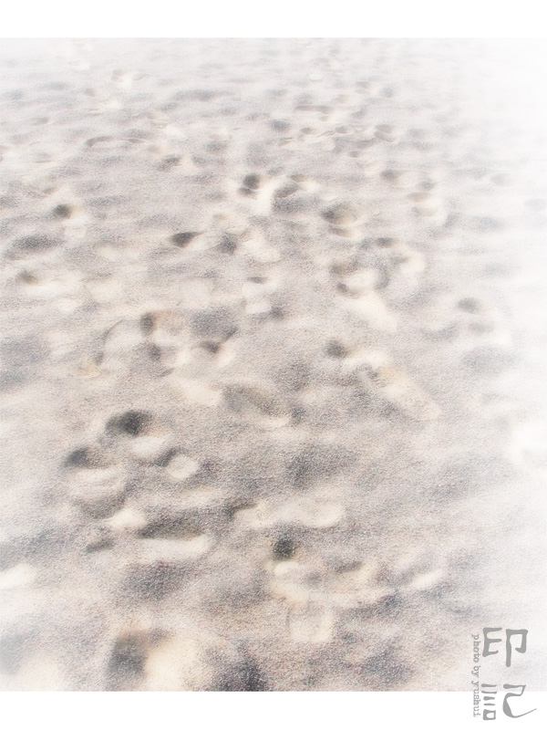 [原创]西部印记