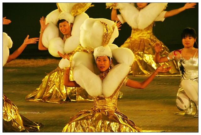 《花团锦簇16运》